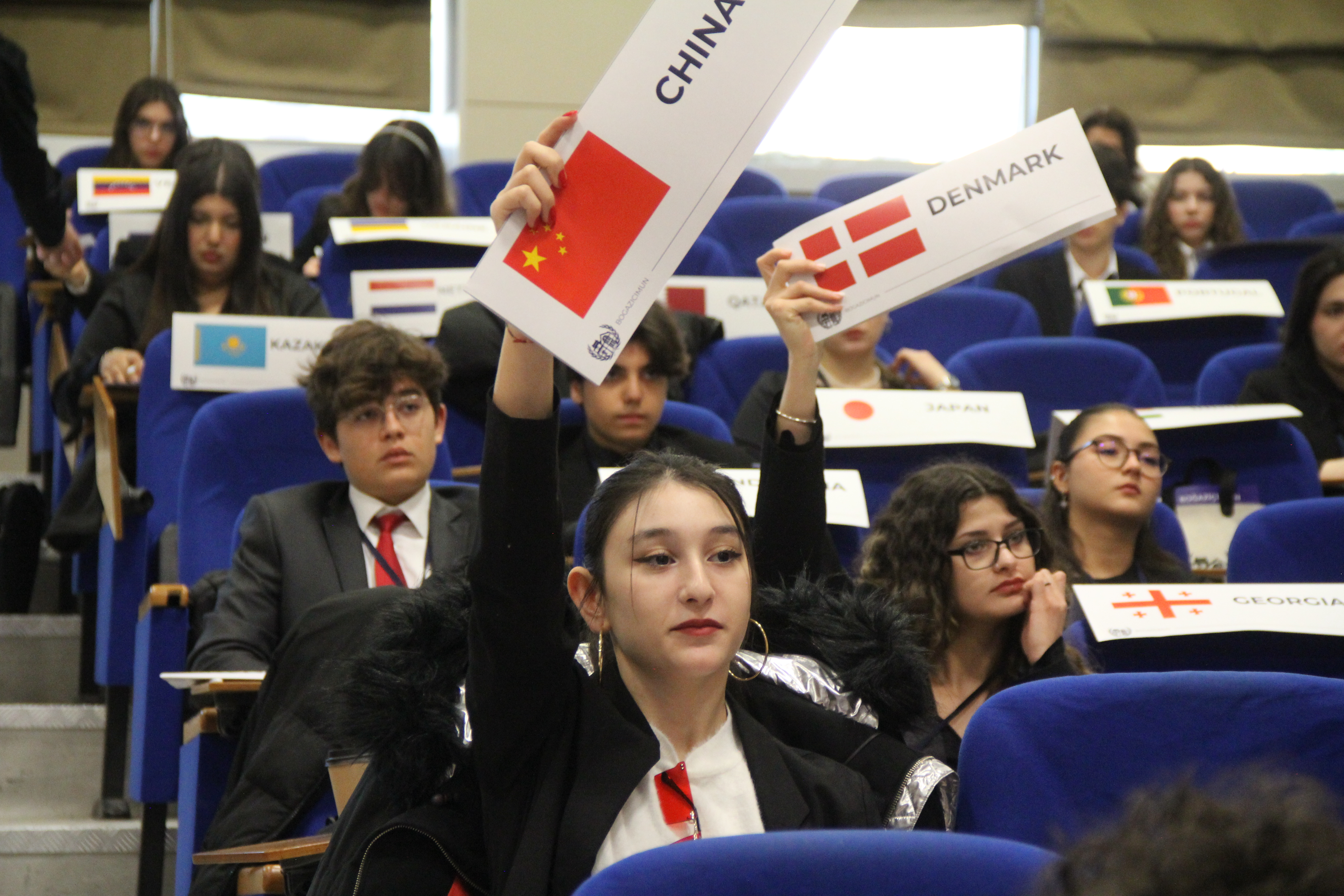 Individual Delegate Image